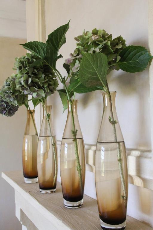 Belair Country House Bed and Breakfast Paarl Δωμάτιο φωτογραφία