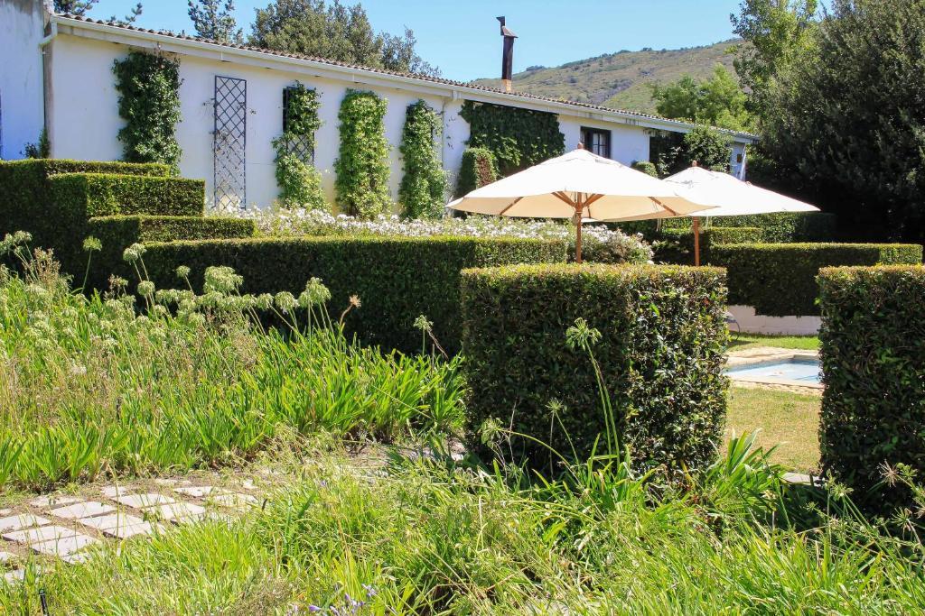 Belair Country House Bed and Breakfast Paarl Εξωτερικό φωτογραφία